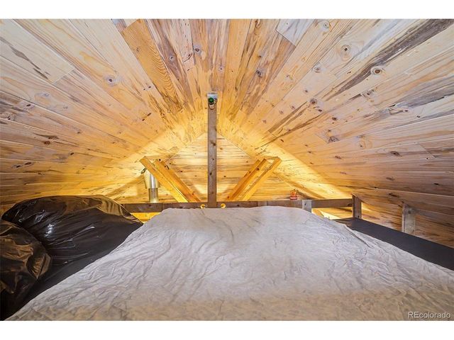 55 Rafferty Dr, Leadville, CO 80461