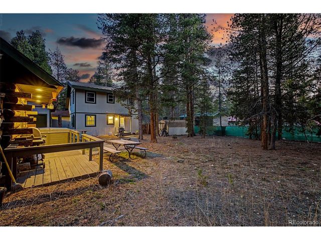 55 Rafferty Dr, Leadville, CO 80461