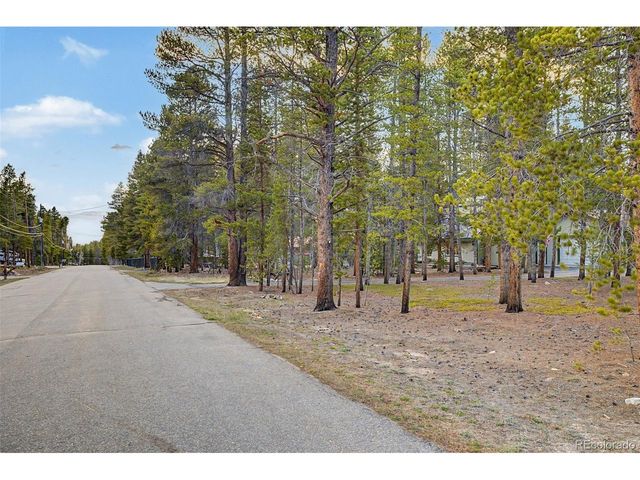 55 Rafferty Dr, Leadville, CO 80461