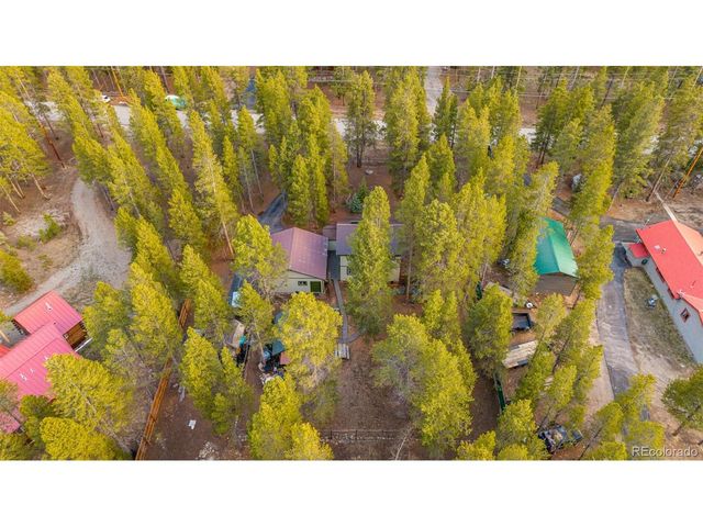 55 Rafferty Dr, Leadville, CO 80461