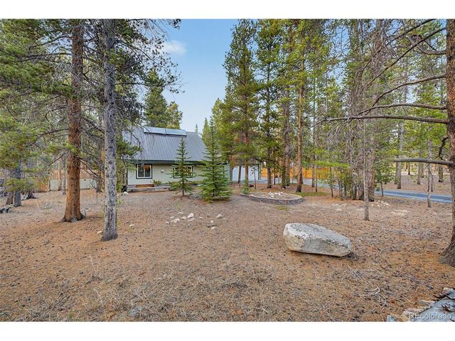 55 Rafferty Dr, Leadville, CO 80461