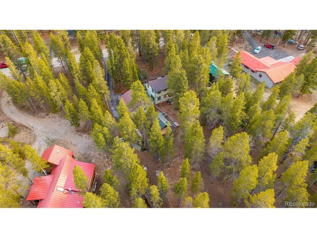 55 Rafferty Dr, Leadville, CO 80461