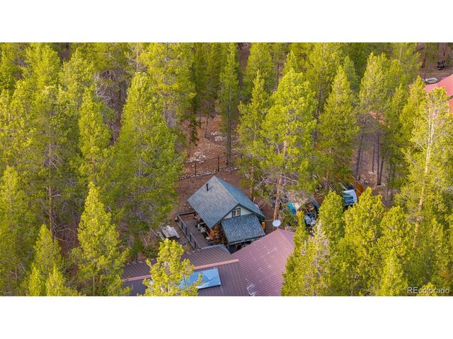 55 Rafferty Dr, Leadville, CO 80461
