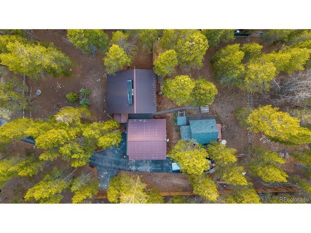 55 Rafferty Dr, Leadville, CO 80461