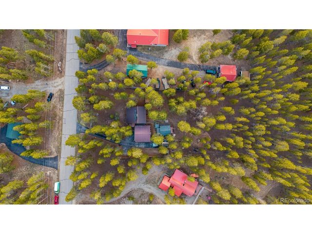 55 Rafferty Dr, Leadville, CO 80461