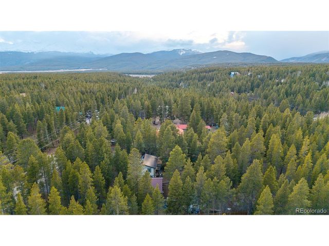 55 Rafferty Dr, Leadville, CO 80461