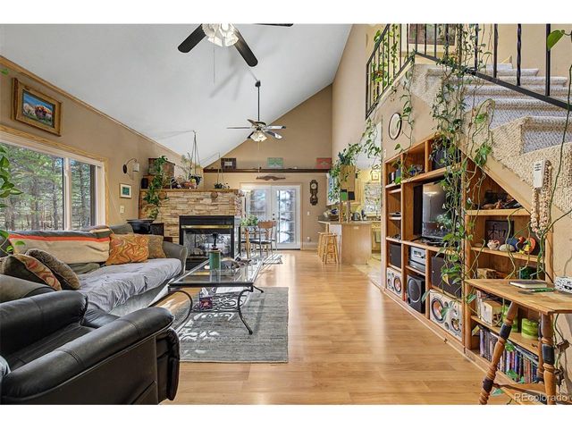 55 Rafferty Dr, Leadville, CO 80461