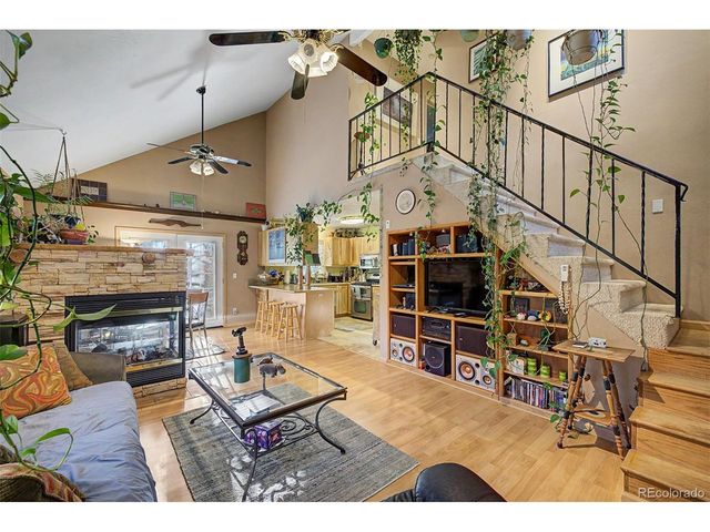55 Rafferty Dr, Leadville, CO 80461