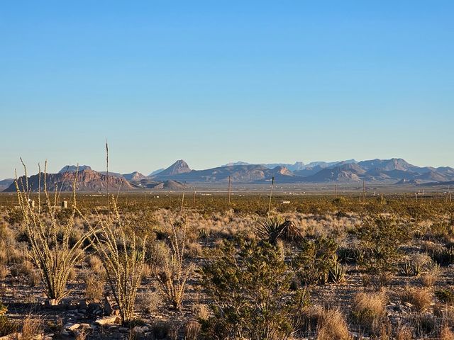 51256 Hwy 118, Terlingua, TX 79852