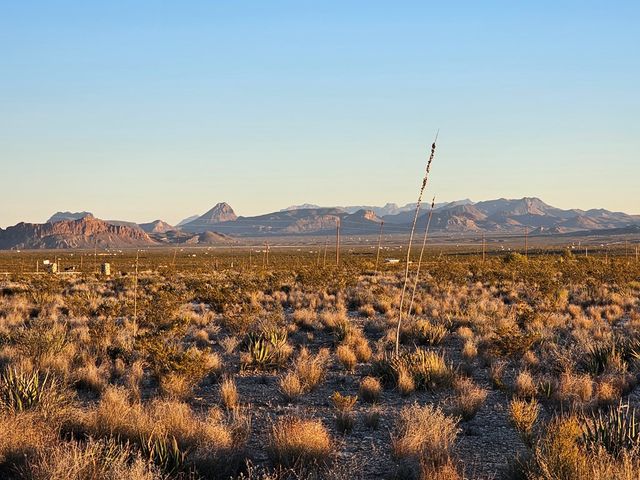 51256 Hwy 118, Terlingua, TX 79852