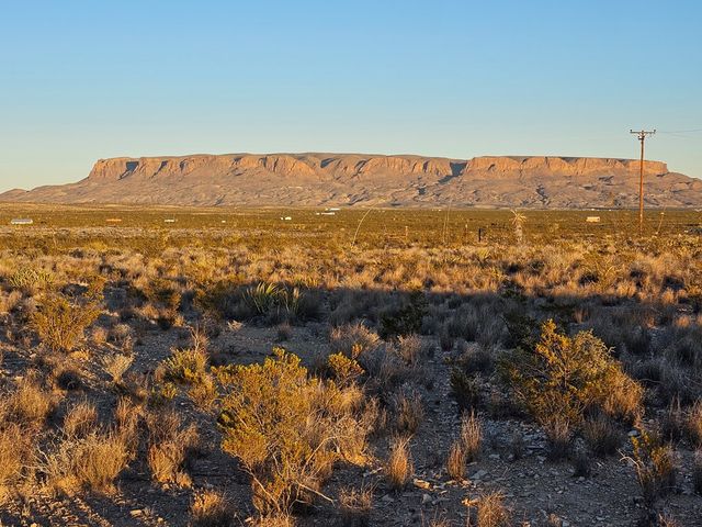 51256 Hwy 118, Terlingua, TX 79852