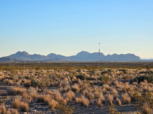 51256 Hwy 118, Terlingua, TX 79852