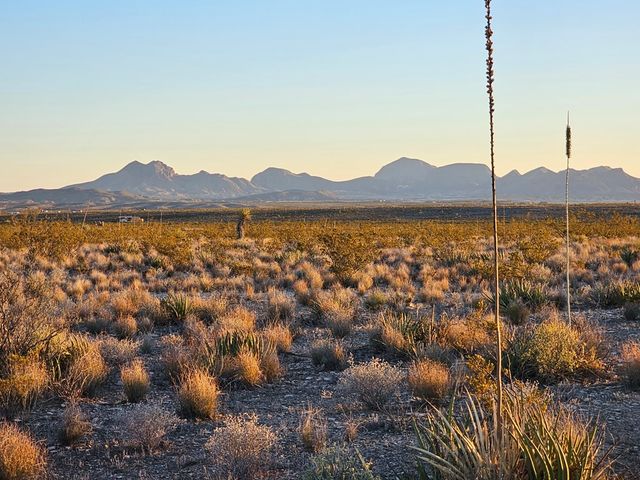 51256 Hwy 118, Terlingua, TX 79852
