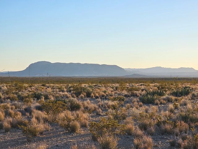 51256 Hwy 118, Terlingua, TX 79852