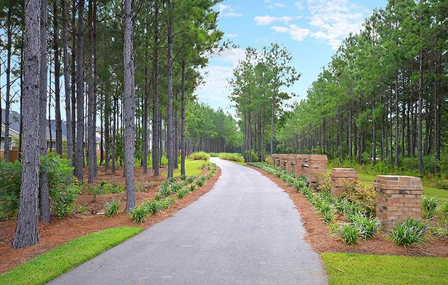 393 Tiliwa Street, Summerville, SC 29486