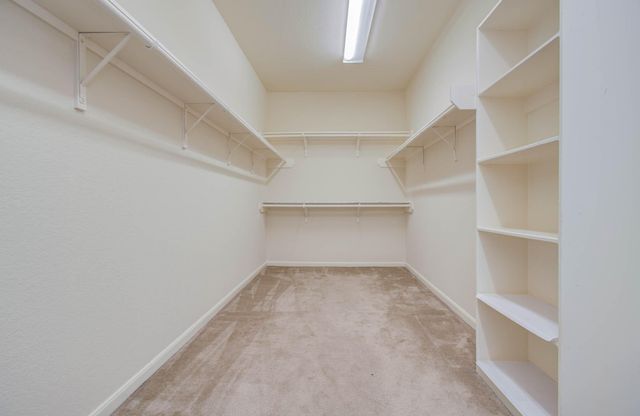 11704 Shoal Landing, Pearland, TX 77584