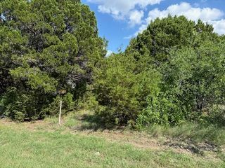 40038 Fringewood Drive, Whitney, TX 76692