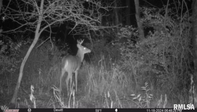 302 SILVER CREEK Road, De Witt, IA 52742