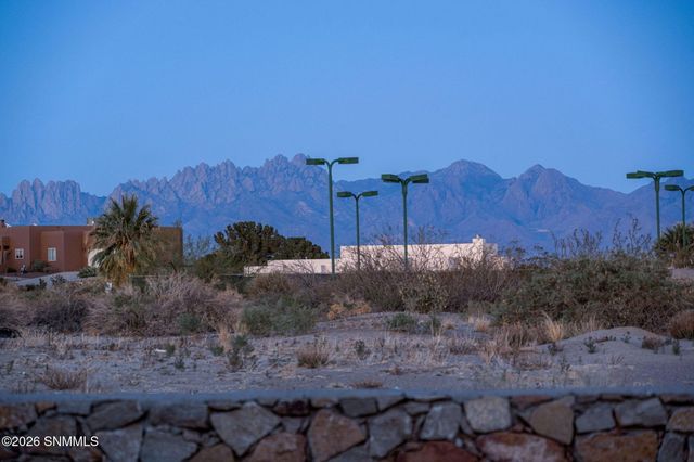 1296 Cassatt Place, Las Cruces, NM 88007