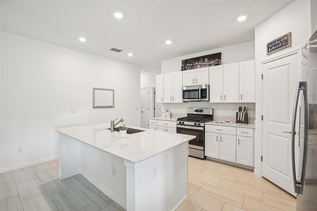 22162 NEBULA WAY, Land O Lakes, FL 34637