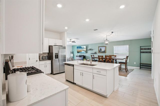 22162 NEBULA WAY, Land O Lakes, FL 34637