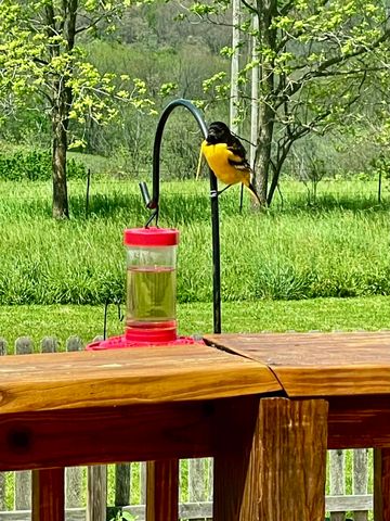 4143 W State Highway 248, Galena, MO 65656