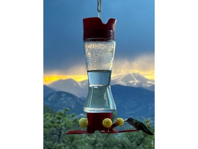 1810 Moss Rock Dr, Estes Park, CO 80517