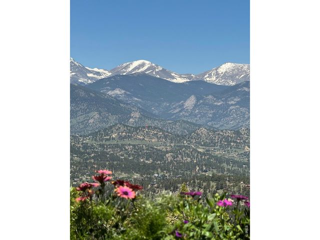 1810 Moss Rock Dr, Estes Park, CO 80517