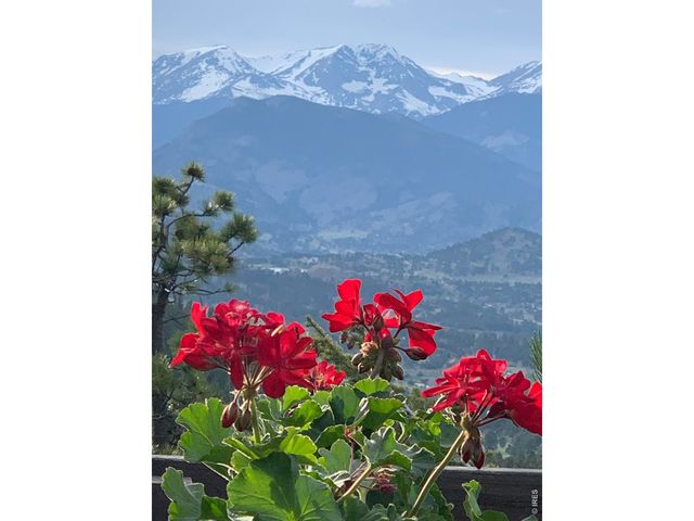 1810 Moss Rock Dr, Estes Park, CO 80517