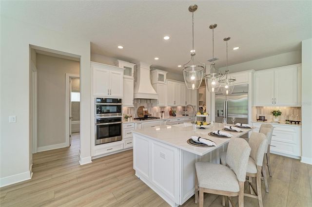 1132 BUCK CREEK COURT, Brandon, FL 33511