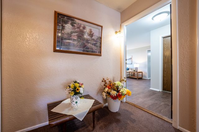 373 Southbury Court D-1, Schaumburg, IL 60193