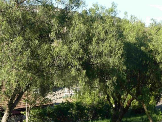 725 Yucca Road, Fallbrook, CA 92028