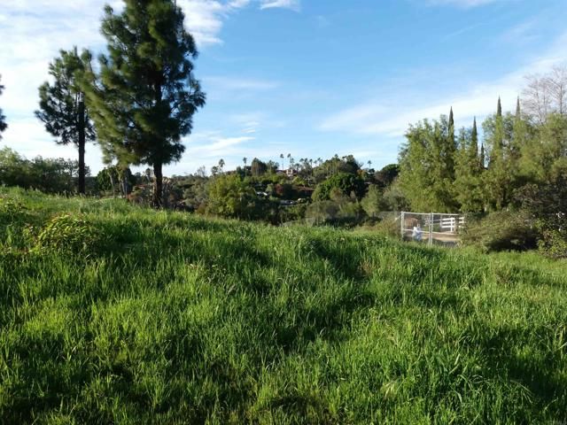 725 Yucca Road, Fallbrook, CA 92028