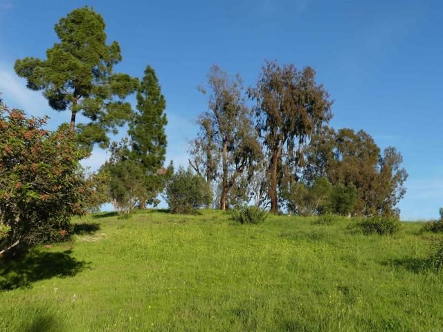 725 Yucca Road, Fallbrook, CA 92028