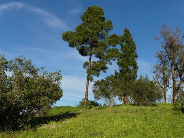 725 Yucca Road, Fallbrook, CA 92028