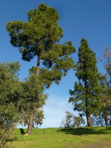 725 Yucca Road, Fallbrook, CA 92028