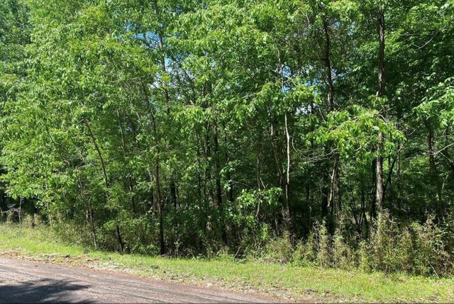 43 Shetland Lane, Coldspring, TX 77331