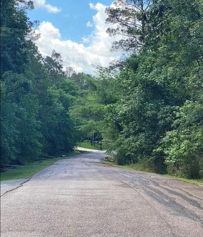 43 Shetland Lane, Coldspring, TX 77331