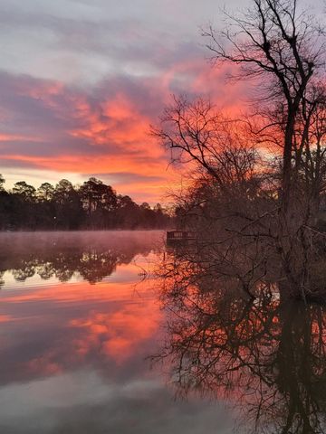 TBD Magnolia Road, Goodrich, TX 77335