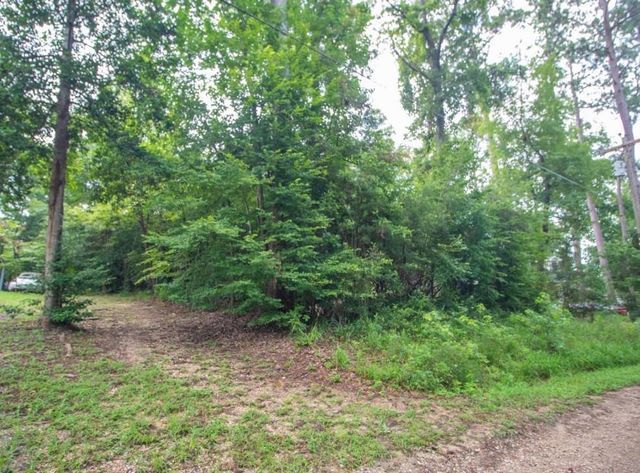 TBD Magnolia Road, Goodrich, TX 77335