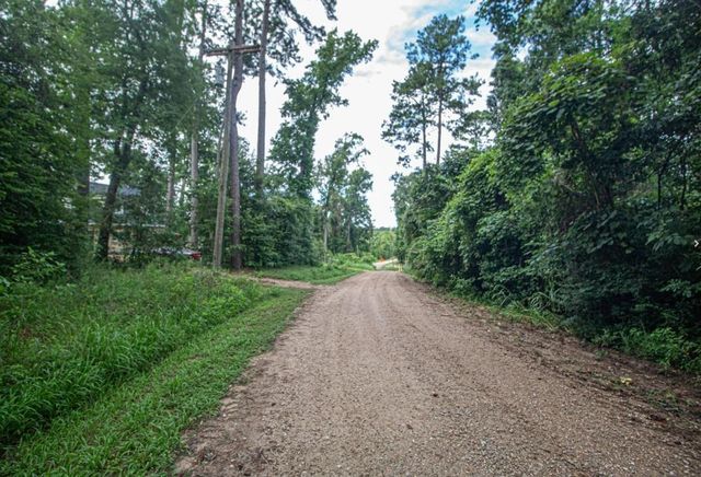 TBD Magnolia Road, Goodrich, TX 77335