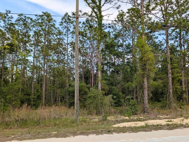 15252 COOT ROAD, Brooksville, FL 34614