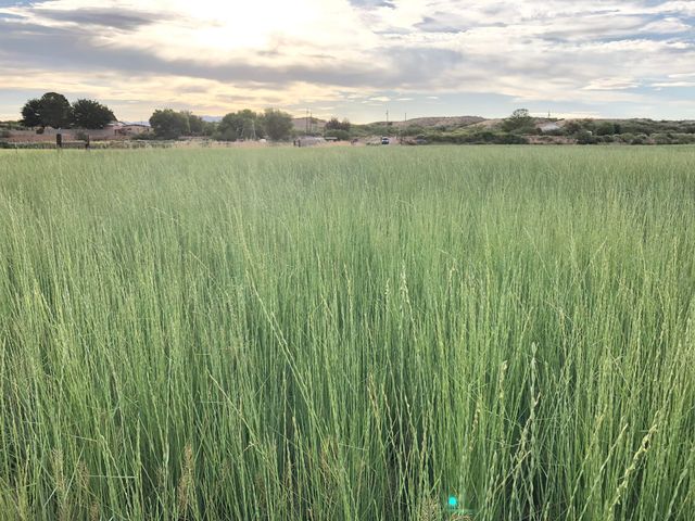 Off Hwy 304, Veguita, NM 87062