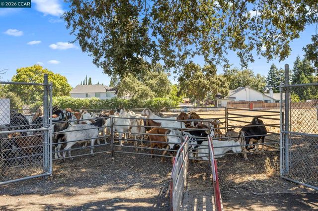 1320 Hookston Rd, Concord, CA 94518