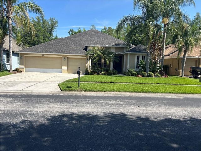 26612 SHOREGRASS DRIVE, Wesley Chapel, FL 33544