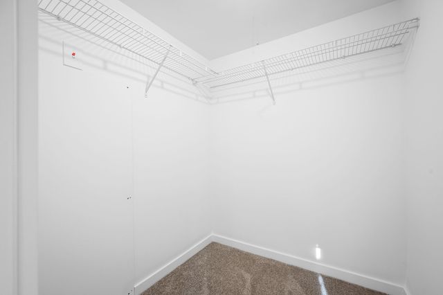 7757 Burks Hollow Rd, Christiana, TN 37037