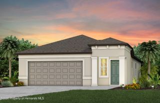 3741 Hornbeam Road, Spring Hill, FL 34609