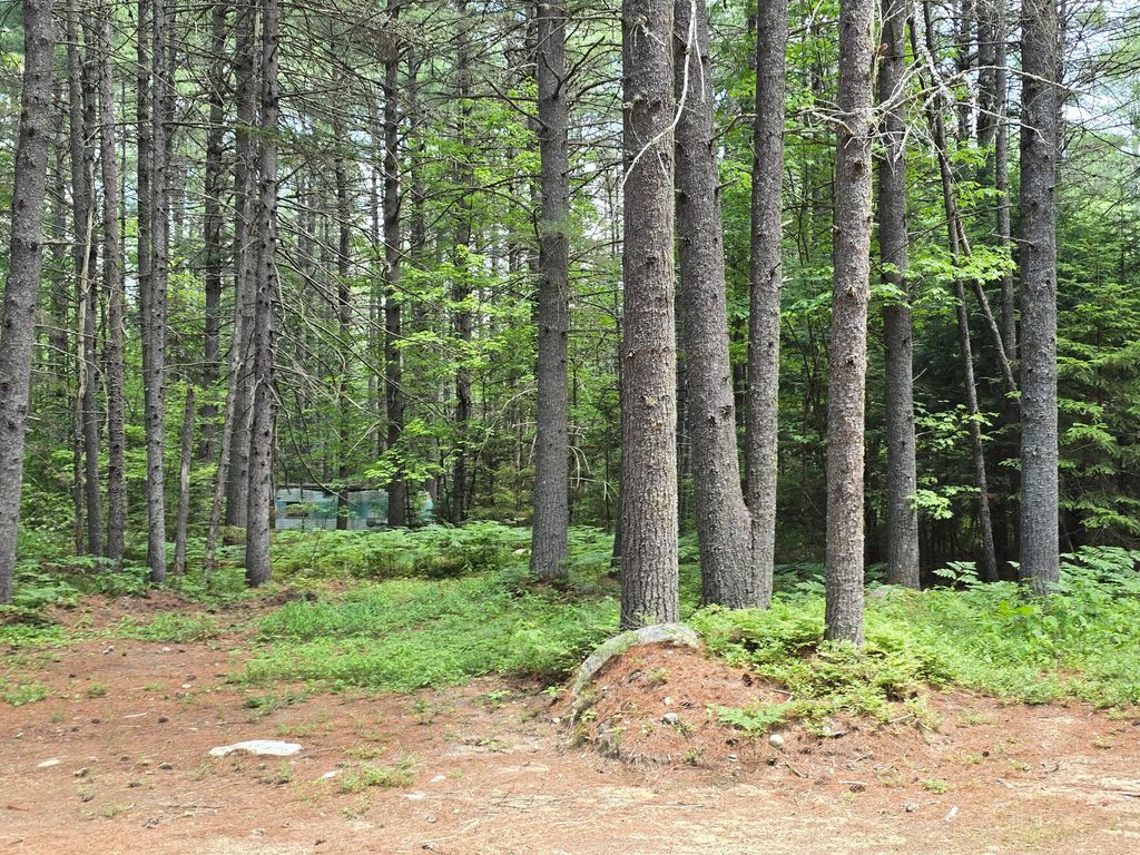 15 Stan's Road, Harrison, ME 04040 — photo 3