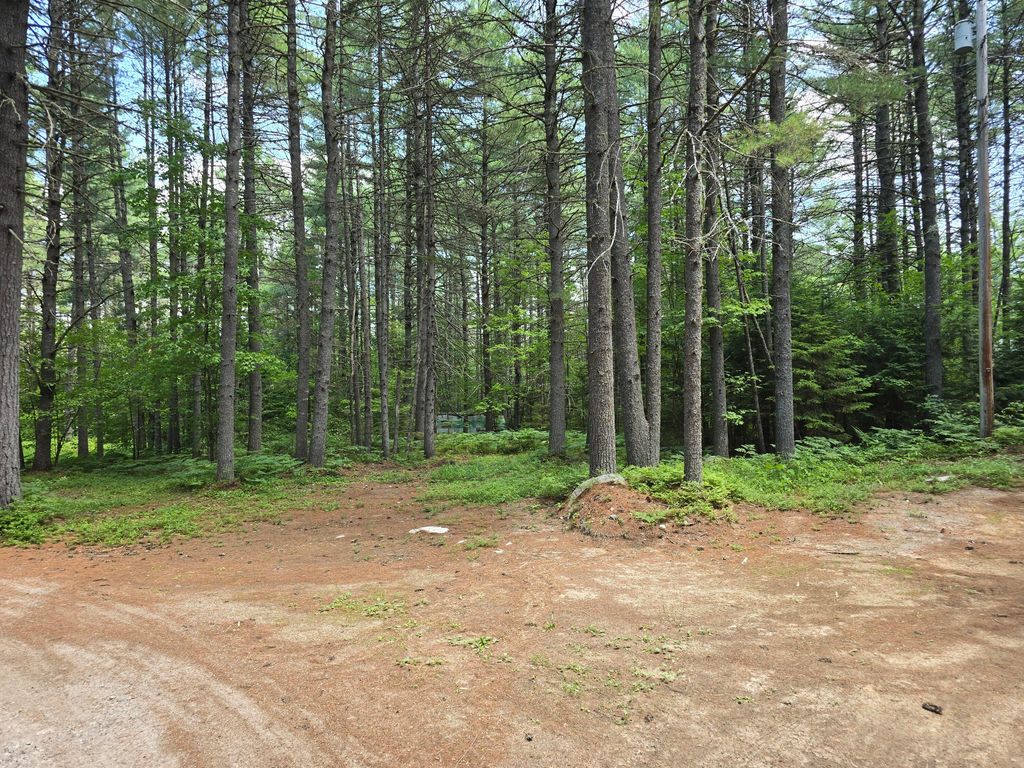 15 Stan's Road, Harrison, ME 04040 — photo 4