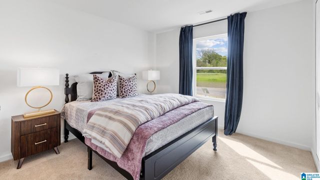 208 MILL POINT CIRCLE, Calera, AL 35040